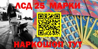 индика Гусев