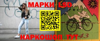 индика Гусев