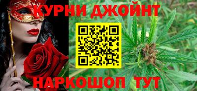 индика Гусев