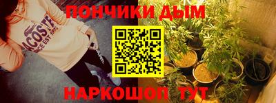 индика Гусев