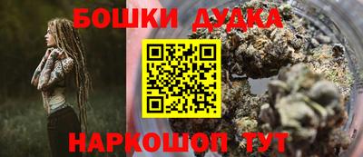 индика Гусев