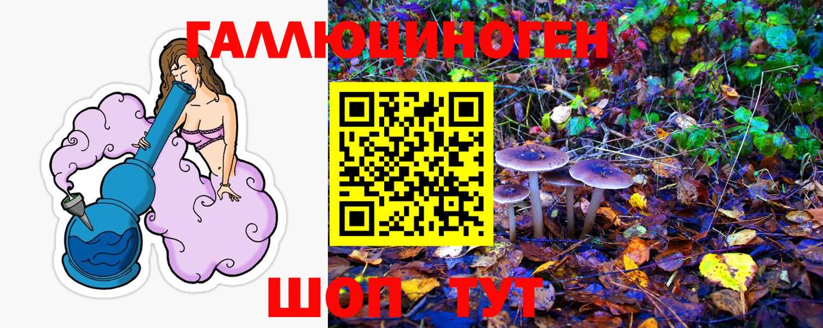 Псилоцибиновые грибы Cubensis Муравленко