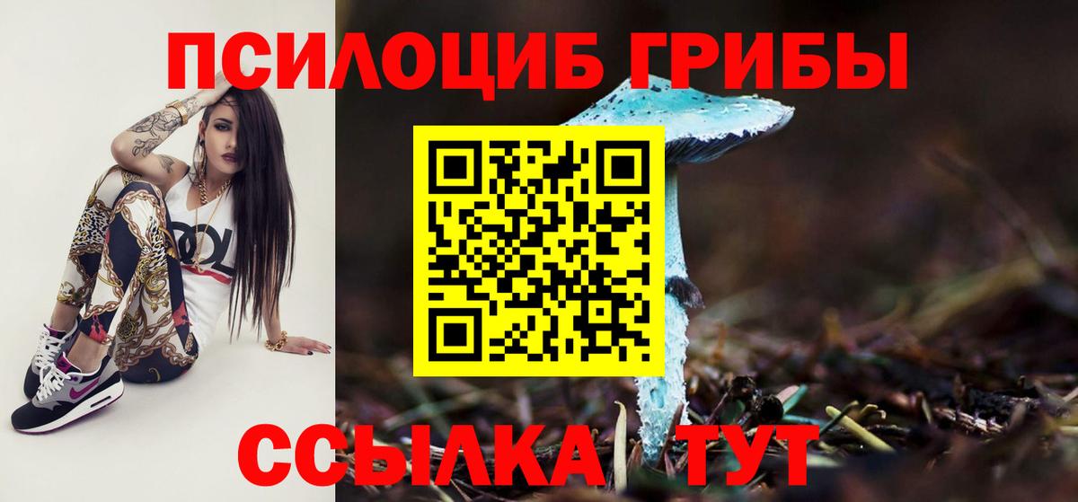 Галлюциногенные грибы Cubensis  Галлюциногенные грибы мицелий  купить закладку  Муравленко  Вход с VPN 